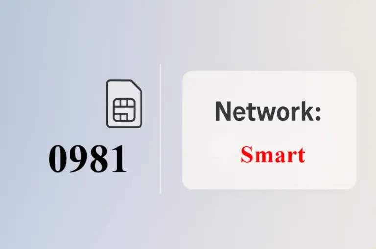 0981 What Network